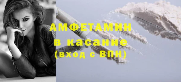 шишки Дмитровск