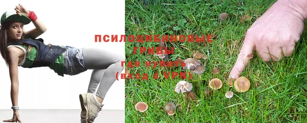 ПСИЛОЦИБИНОВЫЕ ГРИБЫ Надым