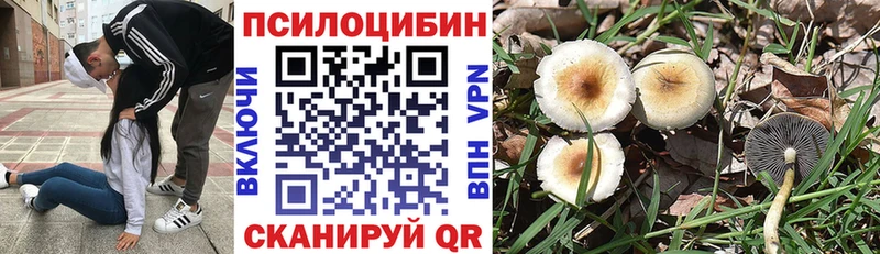купить наркоту Медынь Галлюциногенные грибы GOLDEN TEACHER