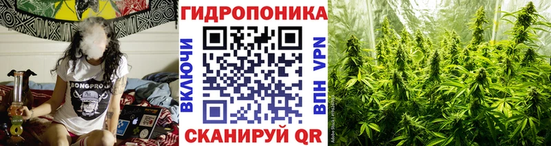 закладка  Медынь  МАРИХУАНА тримм 